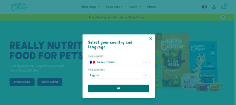 Designing Multi-Language Websites: Guide 2024 + Examples 10